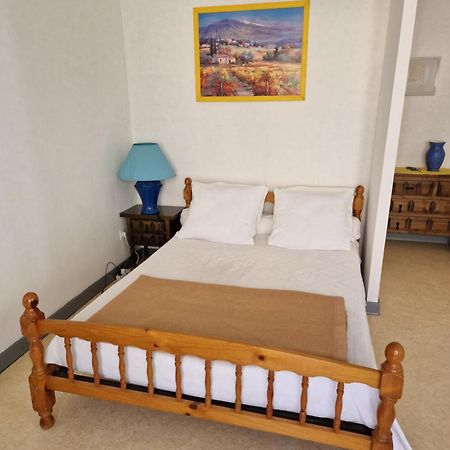 Appartement Amelie Les Bains Au Pied Des Thermes Экстерьер фото